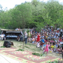 Dulce floare de salcîm